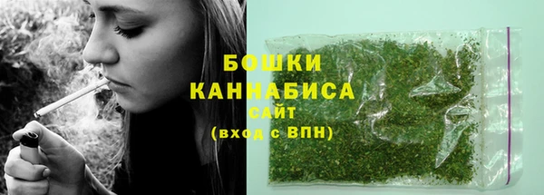 прущие грибы Медвежьегорск