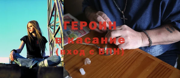 прущие грибы Медвежьегорск