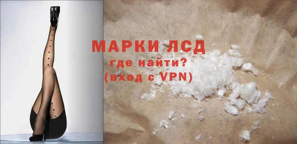 прущие грибы Медвежьегорск