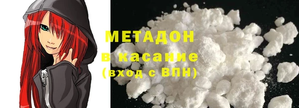 прущие грибы Медвежьегорск