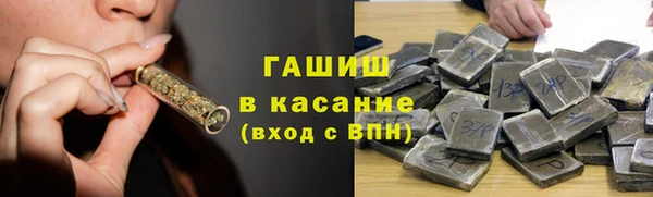 прущие грибы Медвежьегорск