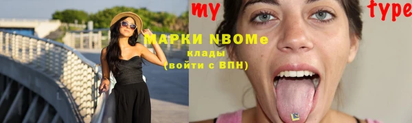 индика Медногорск