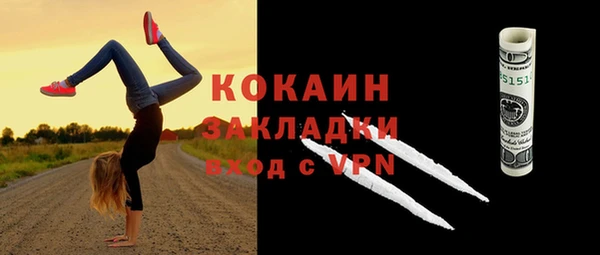 прущие грибы Медвежьегорск