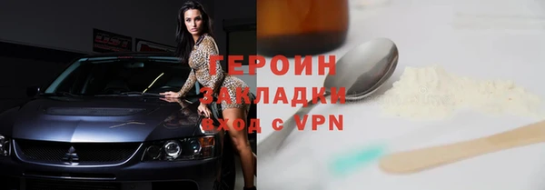 прущие грибы Медвежьегорск