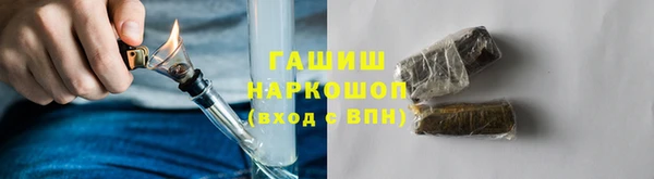 индика Медногорск