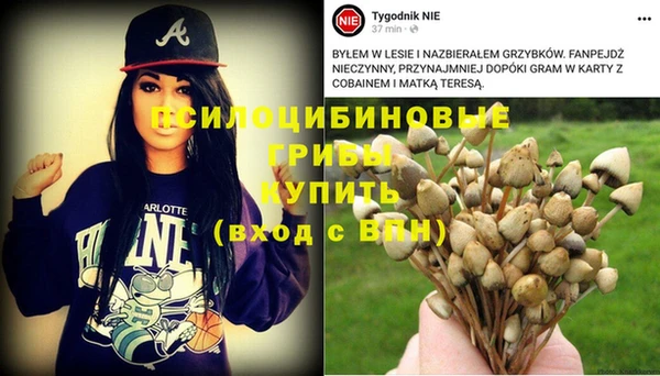 индика Медногорск