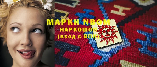 прущие грибы Медвежьегорск