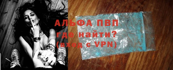 прущие грибы Медвежьегорск