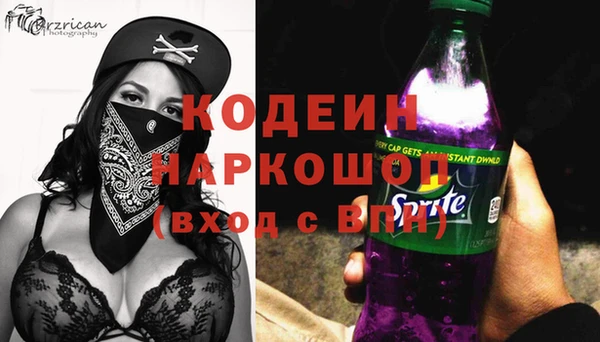 прущие грибы Медвежьегорск
