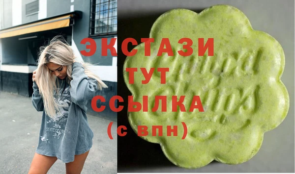 индика Медногорск