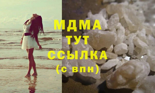 прущие грибы Медвежьегорск