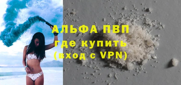 прущие грибы Медвежьегорск