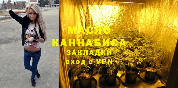 индика Медногорск