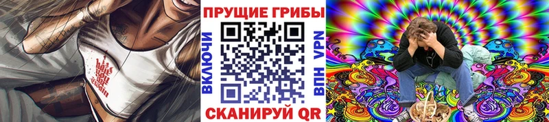 блэк спрут tor  Феодосия  Псилоцибиновые грибы MAGIC MUSHROOMS 
